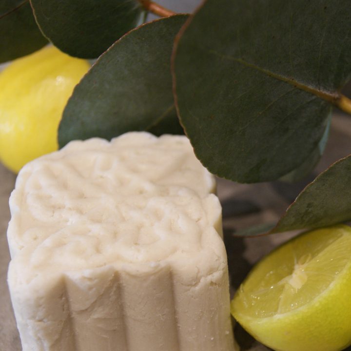 Festes Haarshampoo mit Eukalyptusblättern und Zitronenscheiben im Hintergrund.