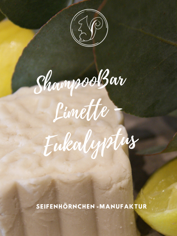 Shampoo-Bar mit Limette und Eukalyptus, umgeben von Zitronen und Eukalyptusblättern.
